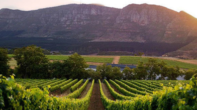 1544184813groot-constantia-helicopter-tour-cape-town