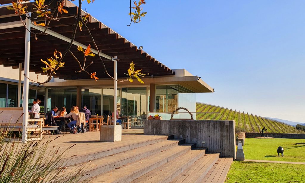 20190716_162217-1024×616