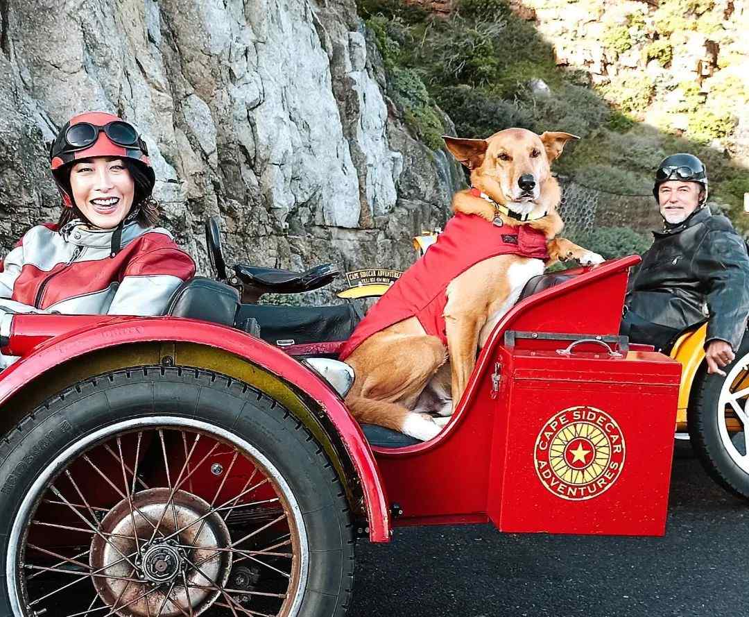 347401399_601065698781311_2850364972428076917_n