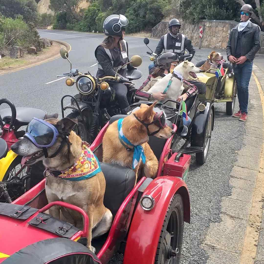 417699773_741295311425015_3930949688069647523_n