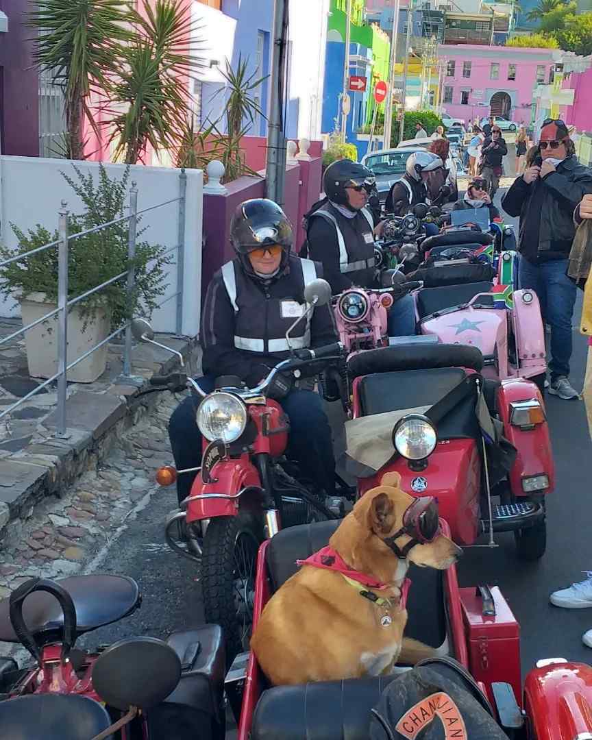 420200601_740193541535192_1823153704326615161_n