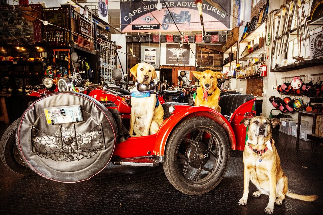 420412636_18256246153209517_6733095774312565042_n