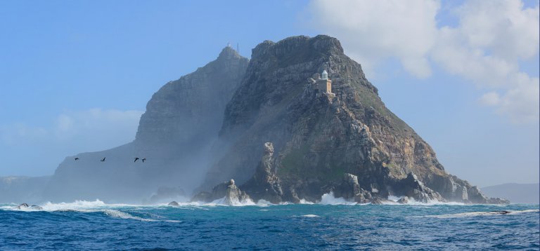 cape-point-ocean-safariBG-1-768×358